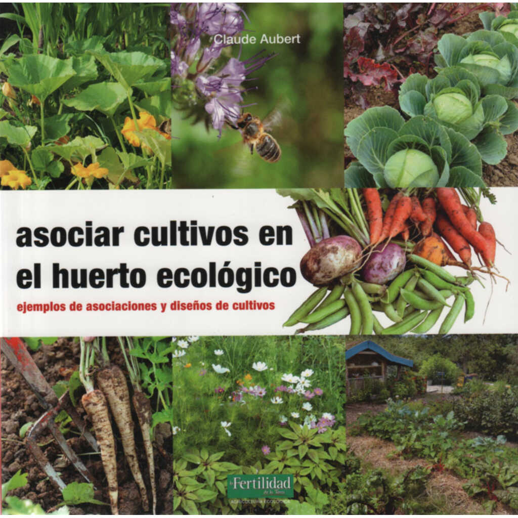 Asociar cultivos en el huerto ecológico. Ejemplos y diseños.