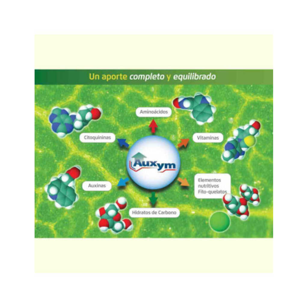 Auxym Bioestimulante 100% vegetal 1L 3