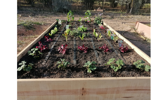 Kit Bancal elevado de madera 240x120x24cm 3