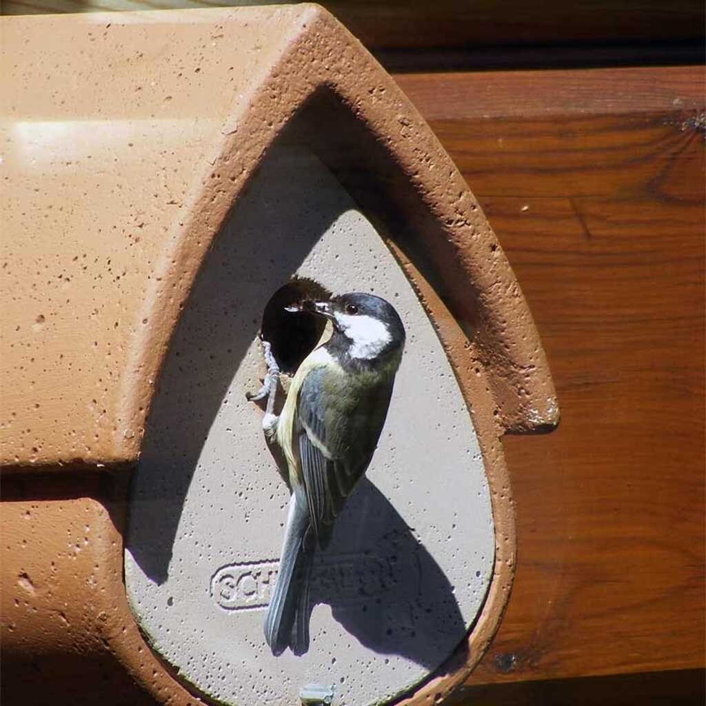 Cajas nido para el control de plagas en agricultura ecológica