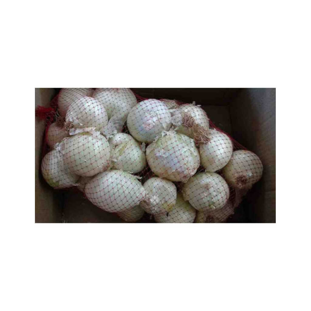 Calçot ecológico, cebolla blanca de Valls 4kg (28-30 bulbos aprox.)_1