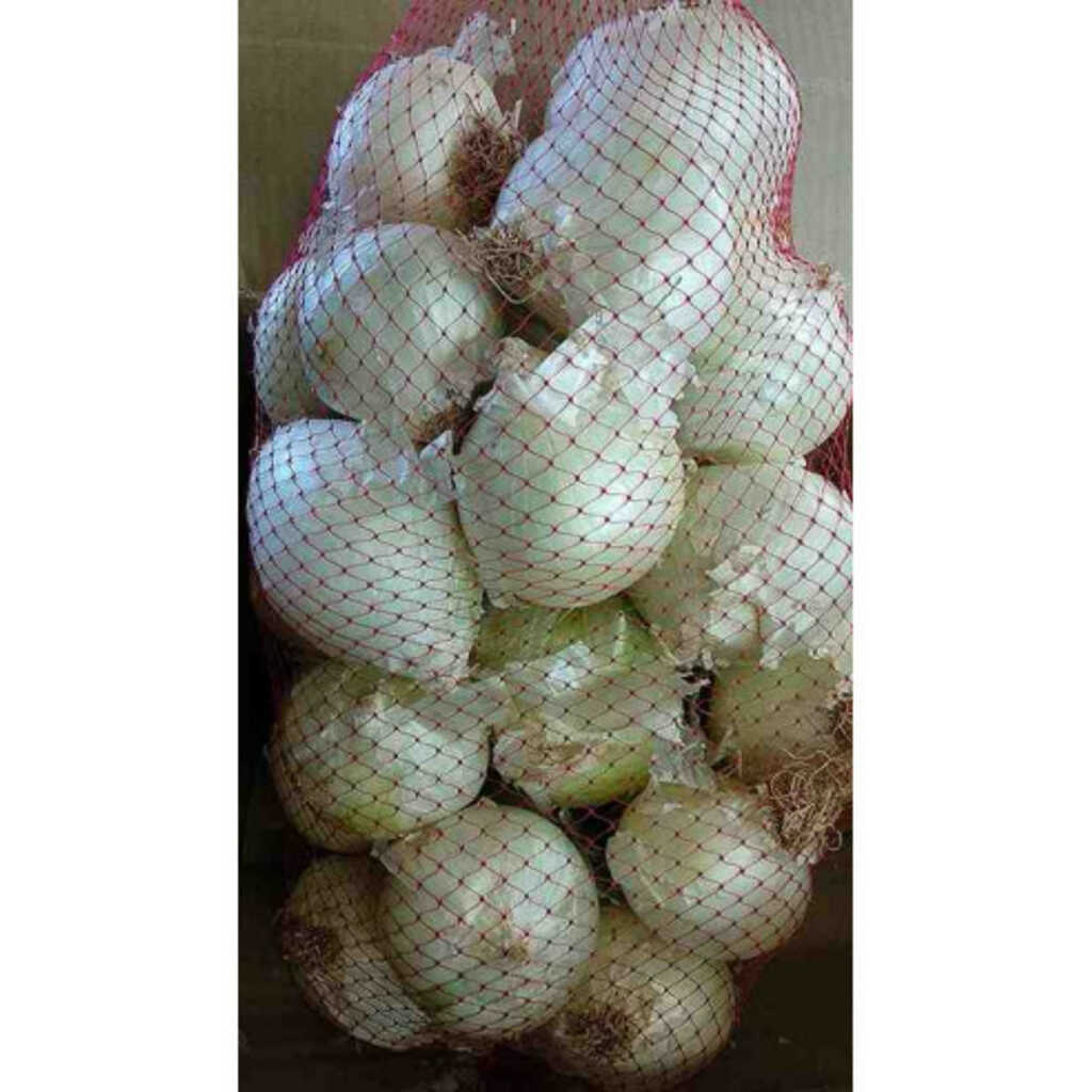 Calçot ecológico, cebolla blanca de Valls 4kg (28-30 bulbos aprox.)
