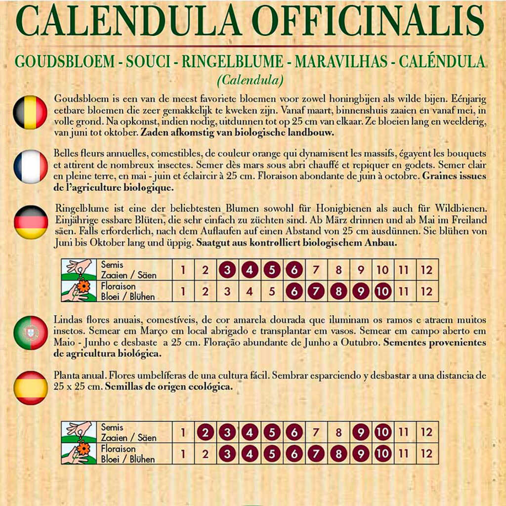 Semillas ecológicas de caléndula (calendula oficinals) 3