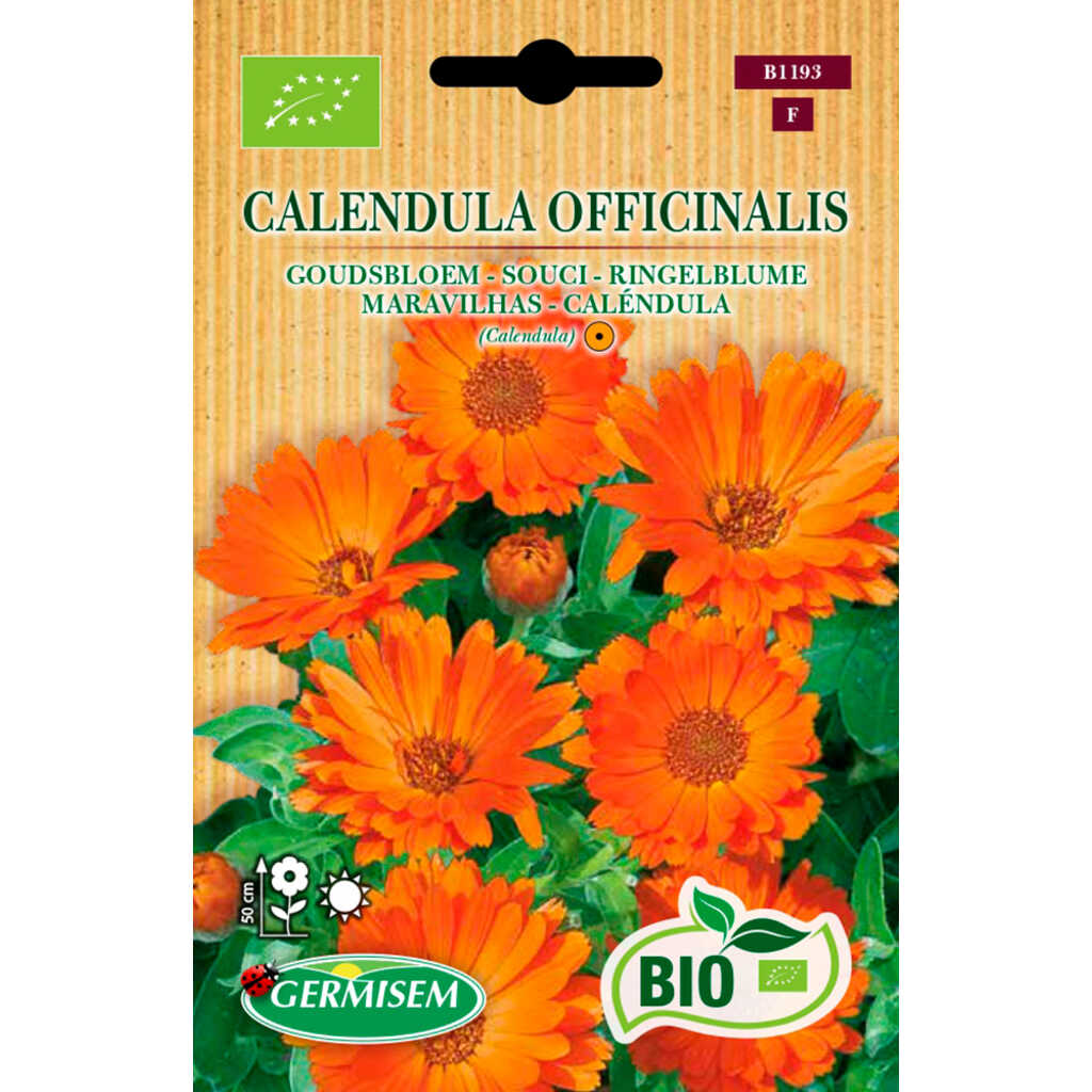 Semillas ecológicas de caléndula (calendula oficinals)