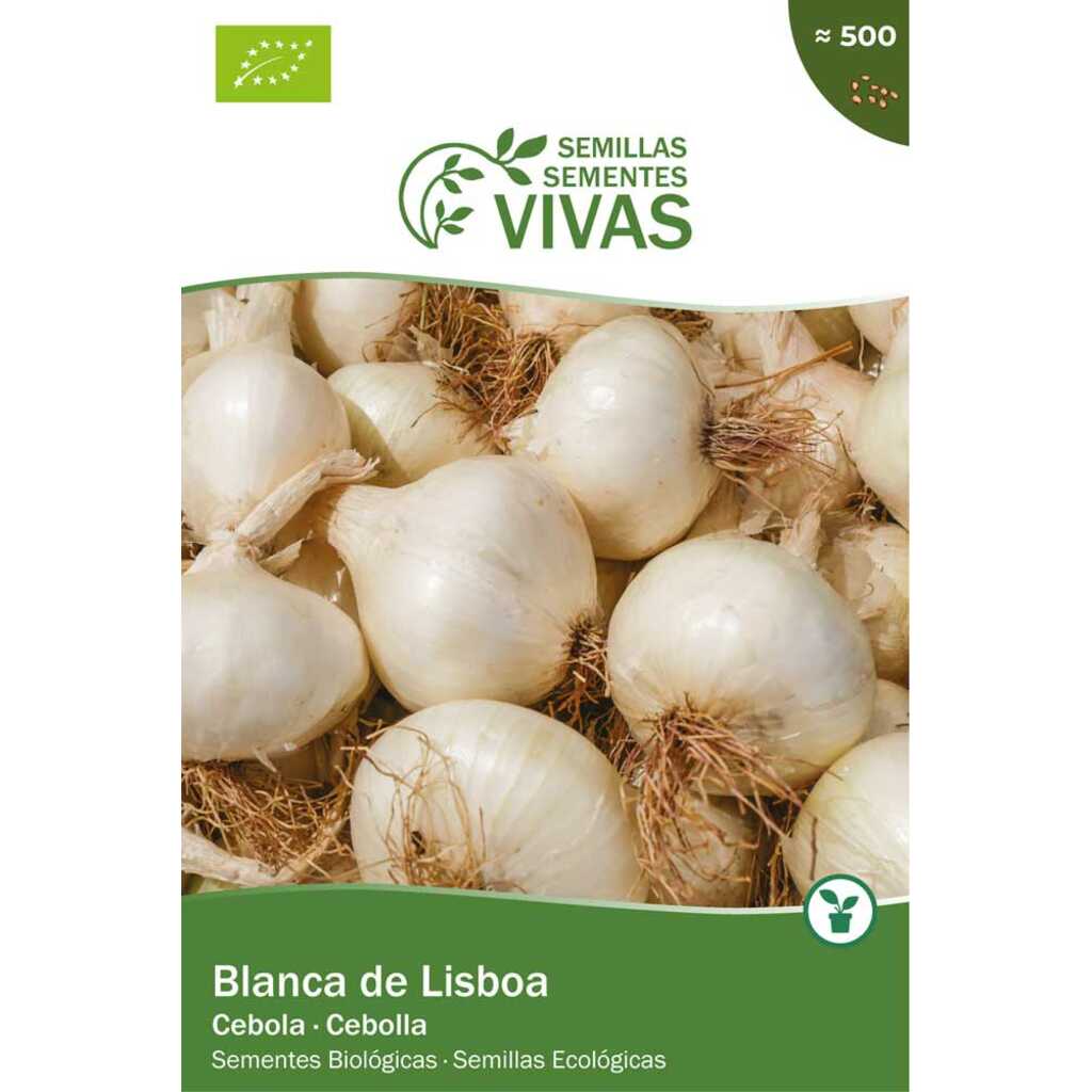 Semillas ecológicas de Cebolla Blanca de Lisboa