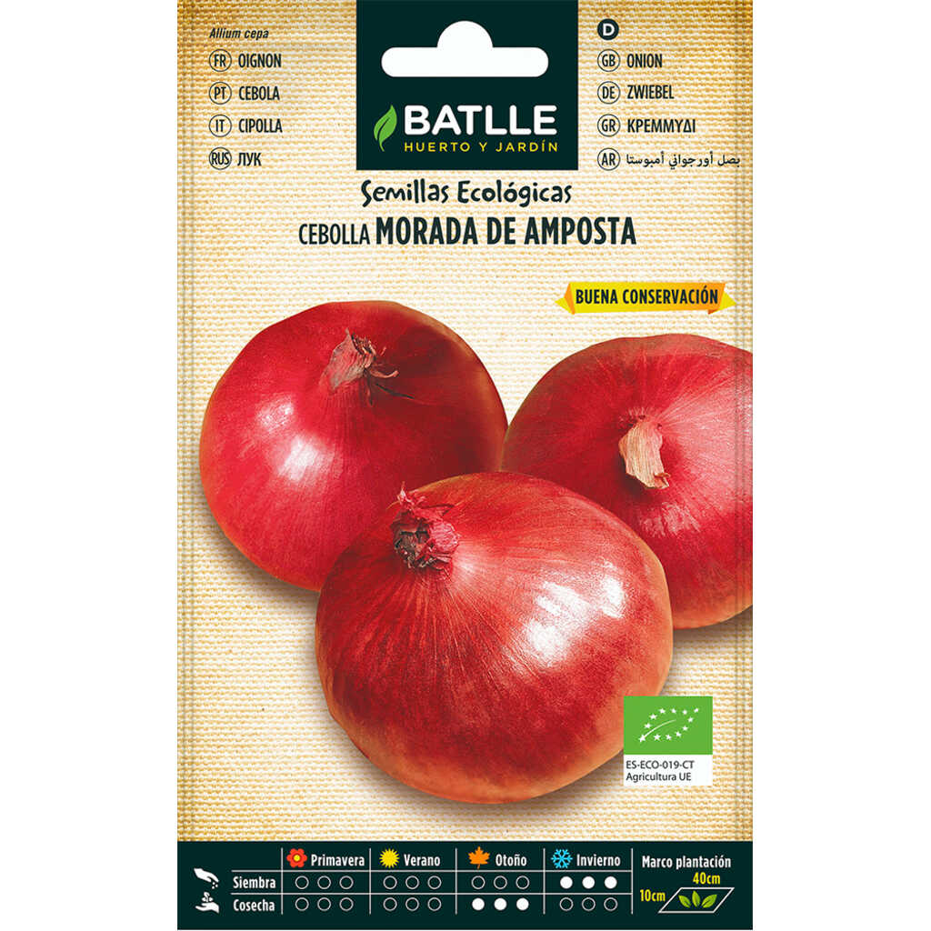Semillas ecológicas de Cebolla morada de Amposta
