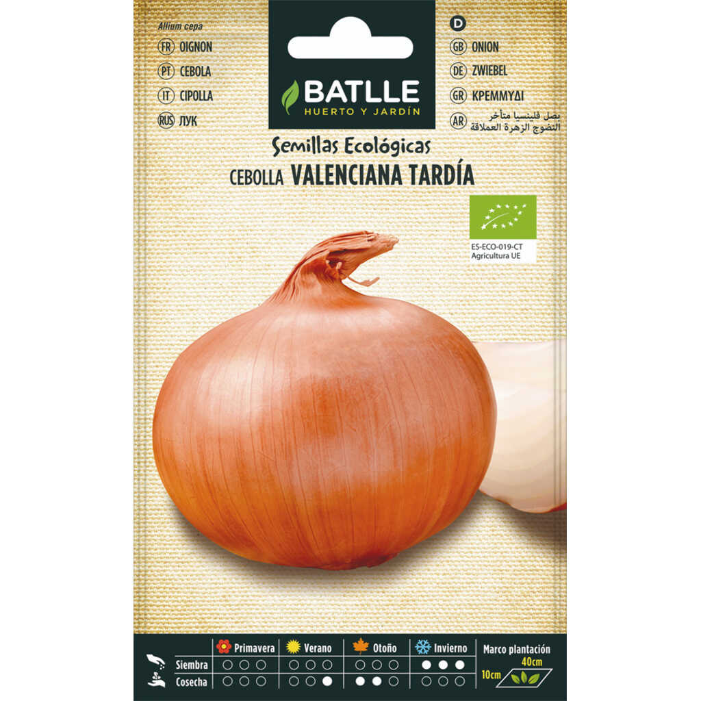 Semillas ecológicas de cebolla valenciana tardía