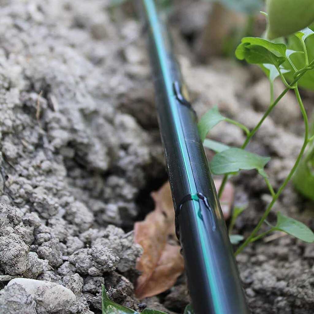 Riego por goteo: cintas, tubos y goteros.