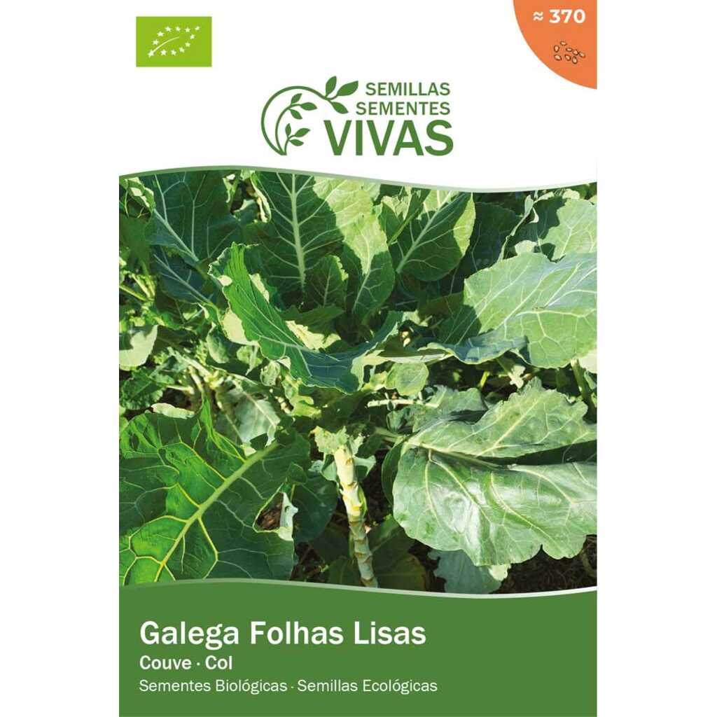 Semillas ecológicas de col gallega de hojas lisas