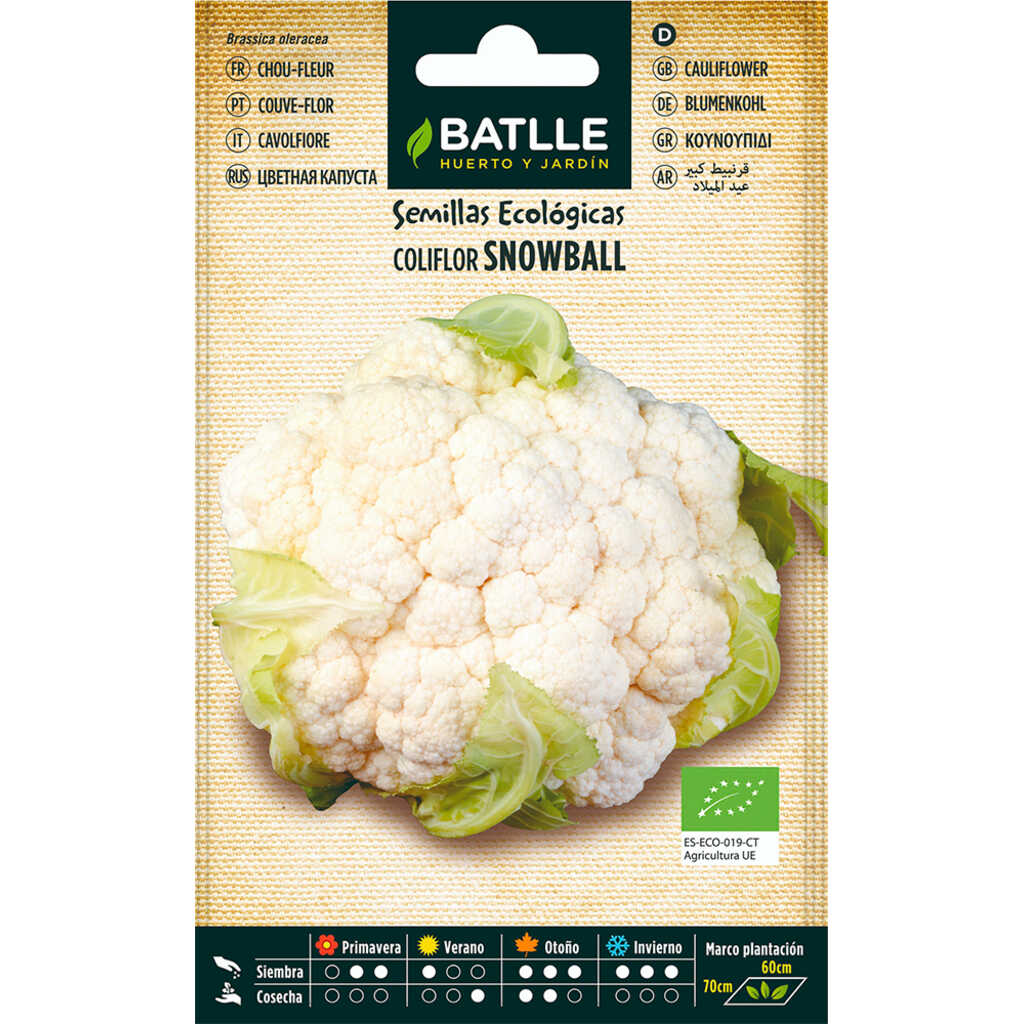 Semillas ecológicas de Coliflor Snowball