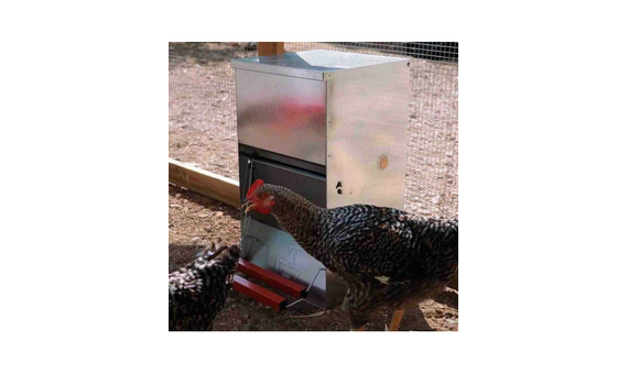 Comedero apertura mecánica para gallinas 12kg 4