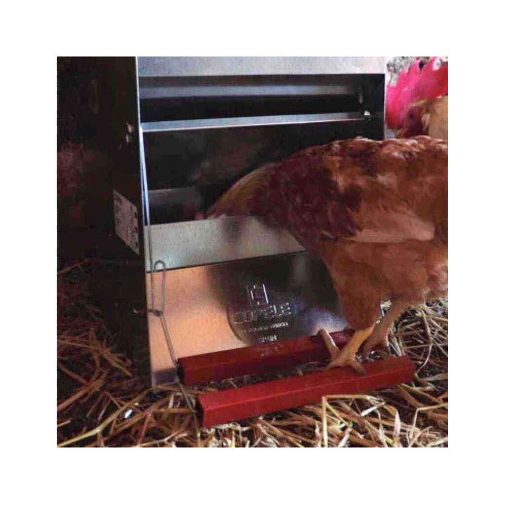Comedero apertura mecánica para gallinas 6kg 3