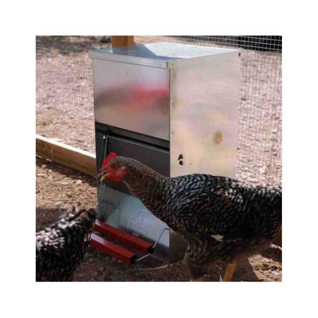 Comedero apertura mecánica para gallinas 6kg 4