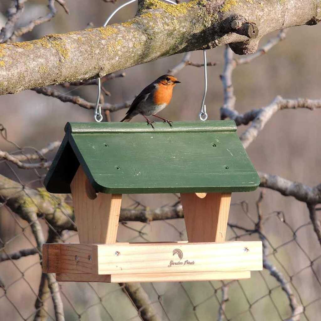 Un jardín lleno de vida: cajas nido y comederos para fauna silvestre