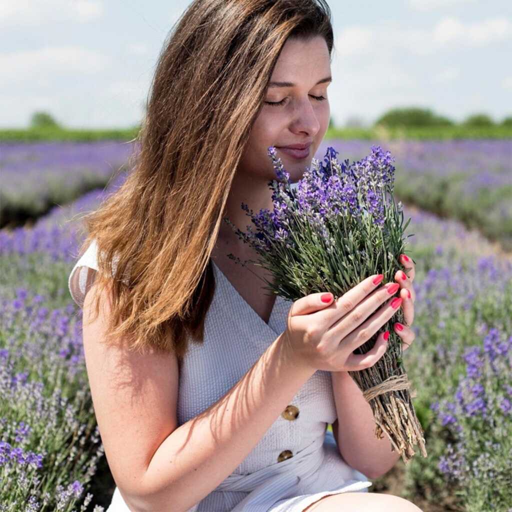 El cultivo de la lavanda