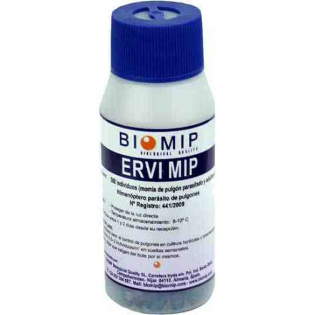 ERVI 1000 (Aphidius ervi 1000 pupas)_1