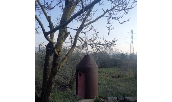 Gancho de acero cincado extra fuerte para colgar cajas nido y comederos 3