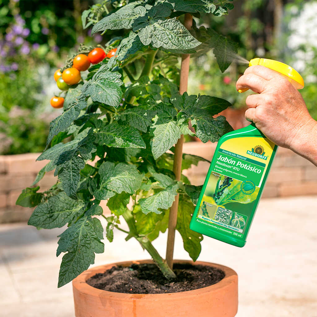 Insecticida Natural Jabón Potásico Neudosan RTU Neudorff_1