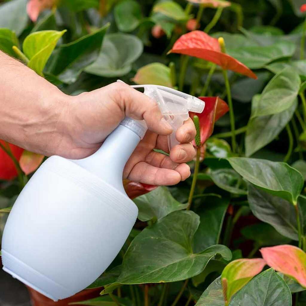 Insecticida-Acaricida Spruzit® El insecticida ecológico de Neudorff