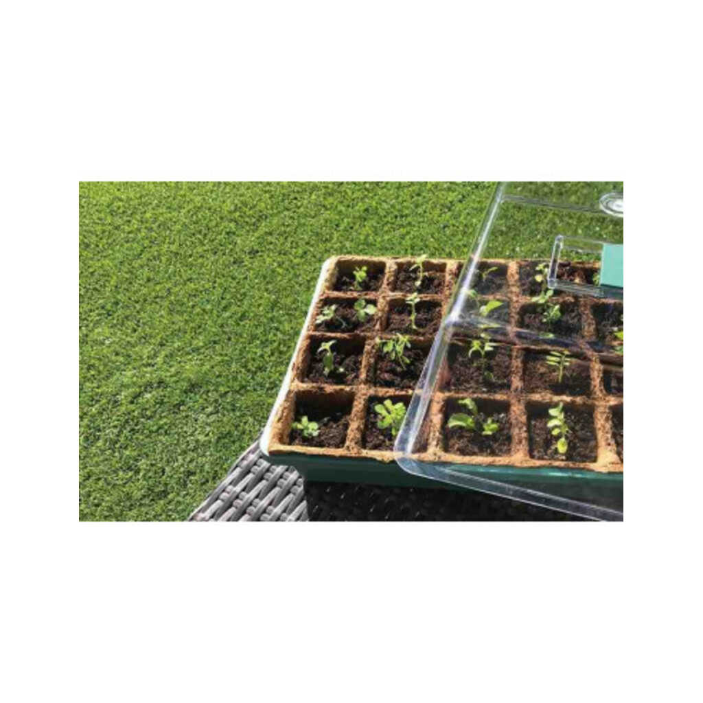 Invernadero pequeño para germinado de semillas_1