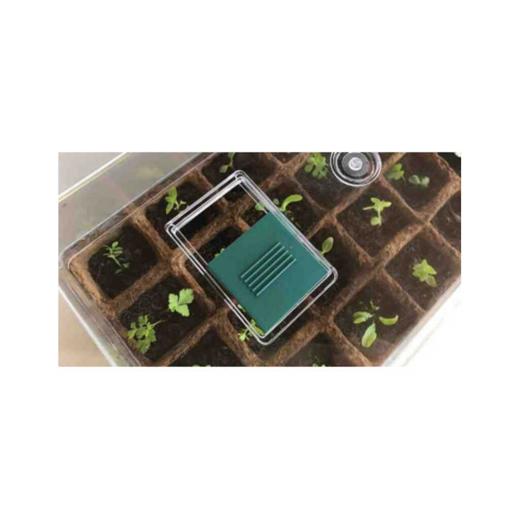 Invernadero pequeño para germinado de semillas 4