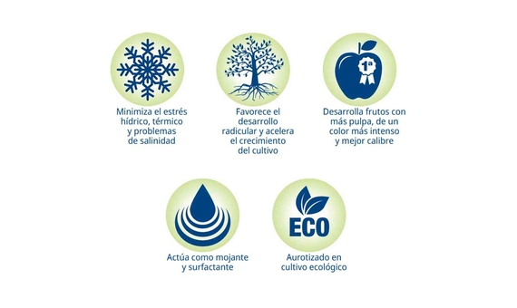 Isabión, nutriente biológico a base de aminoácidos y nitrógeno 1L 4