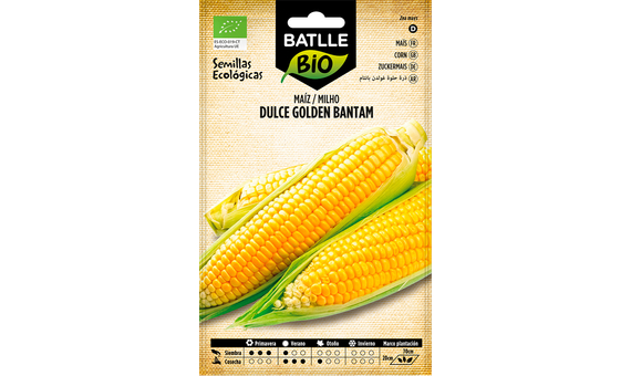 Semillas ecológicas de maíz dulce Golden Bantam