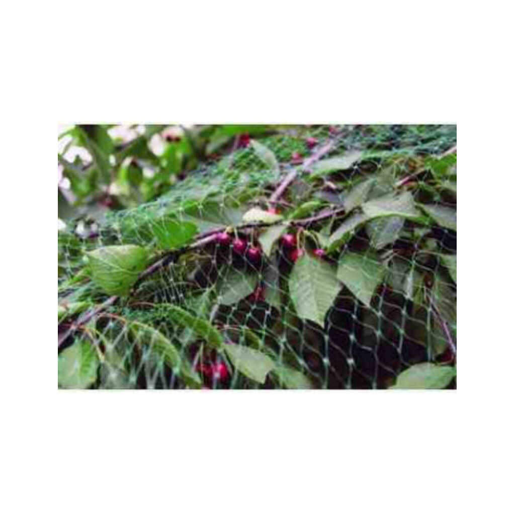 Malla de protección contra pájaros 2x10m Birdnet 4