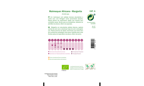 Semillas ecológicas de Margarita Africana 3