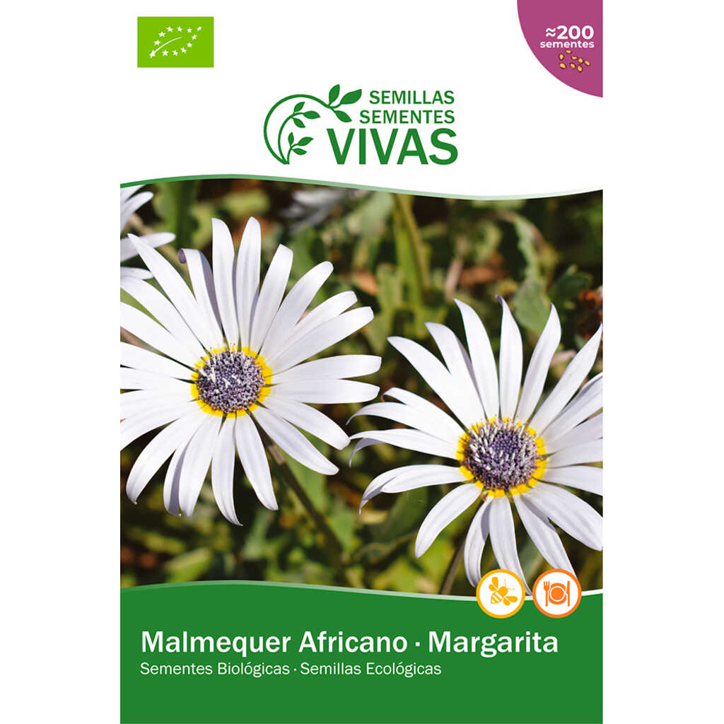 Semillas ecológicas de Margarita Africana