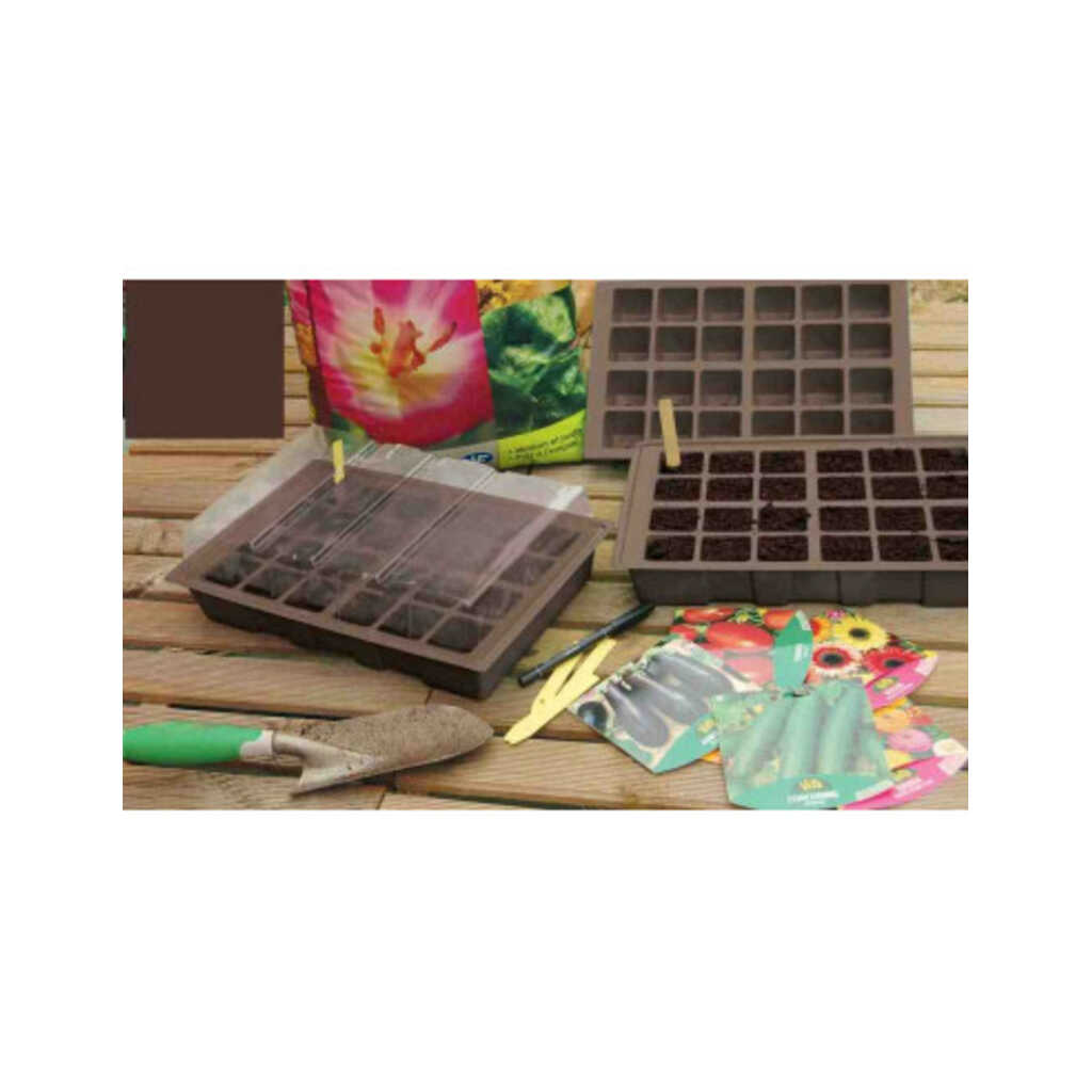 Mini invernadero Kit planting