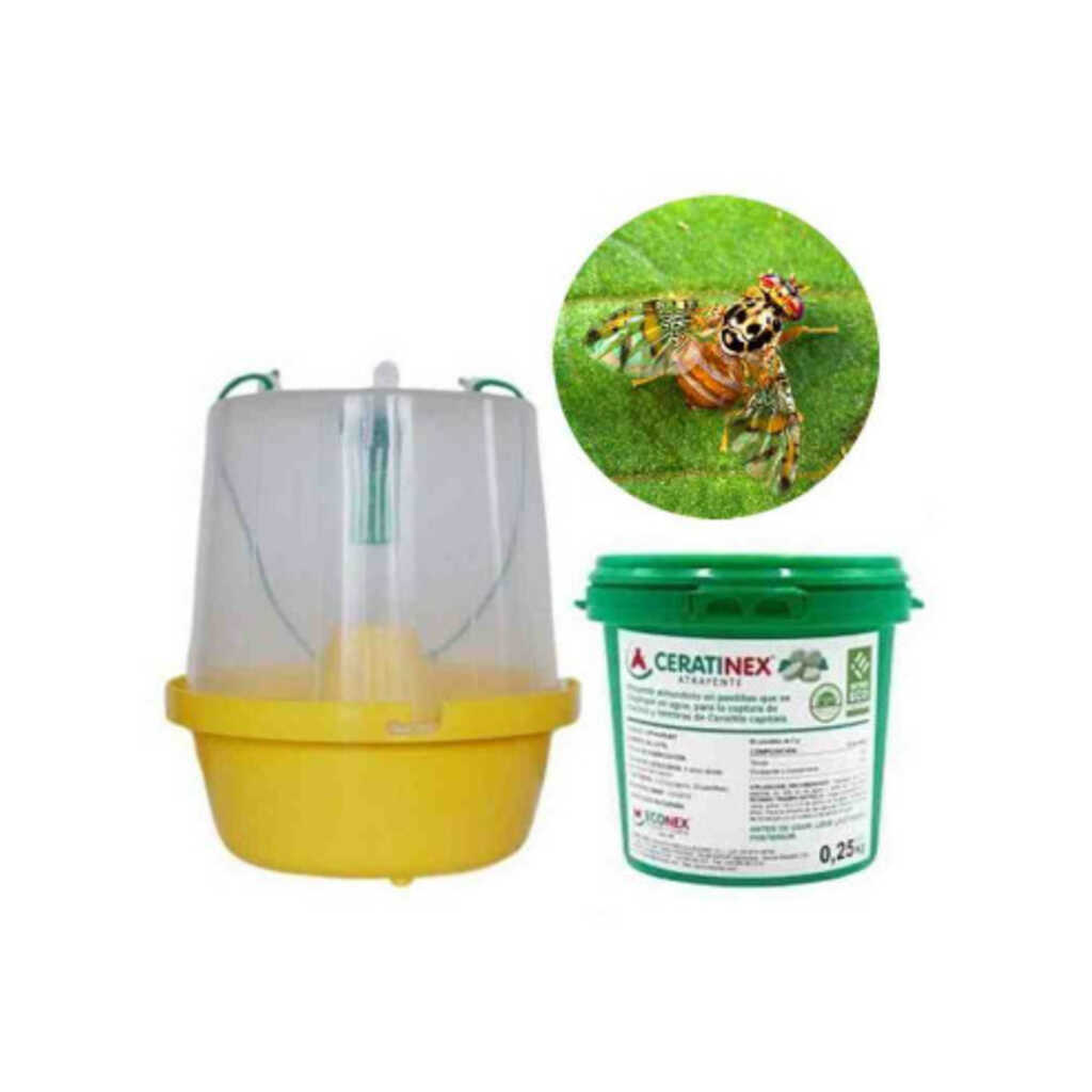 Mosquero + 50 pastillas Ceratinex contra la mosca de la fruta