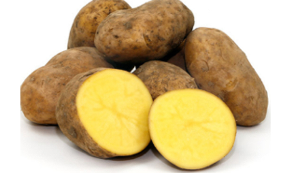 Patata ecológica Agria para siembra 5kg