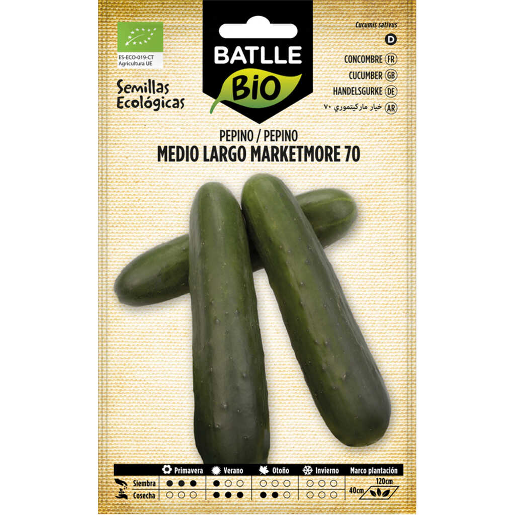 Semillas ecológicas de pepino medio largo Marketmore 70