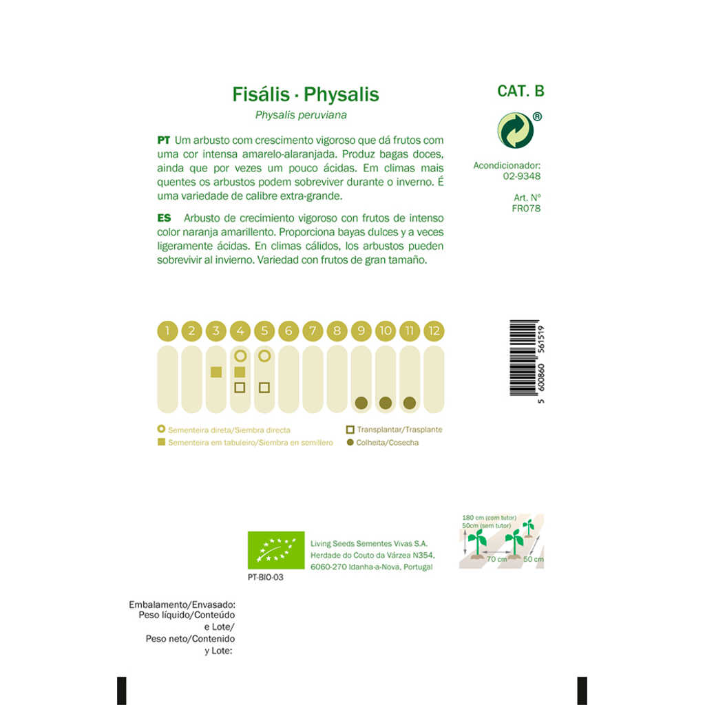 Semillas ecológicas de Physalis_1