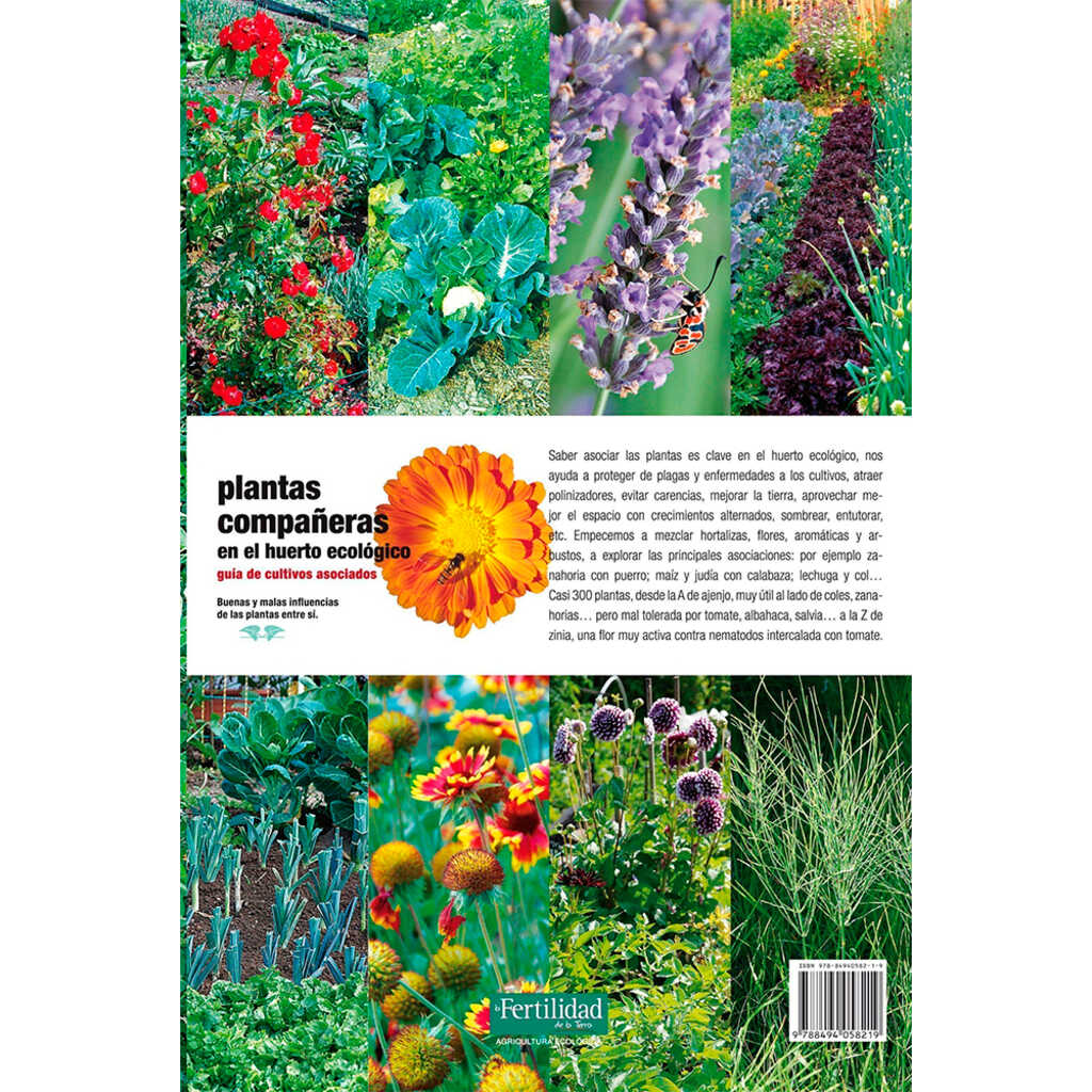 Plantas compañeras en el huerto ecológico_1