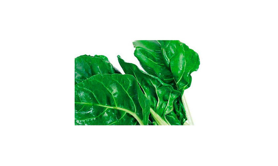 Plantel bio de acelga verde 6 unid.