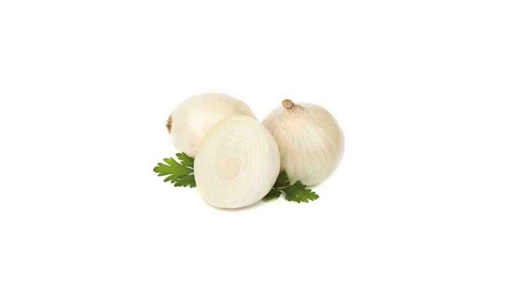 Plantel bio de cebolla blanca 50 unid._1