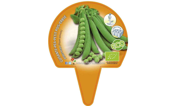 Plantel bio de guisante medio enrame 6 unid._1