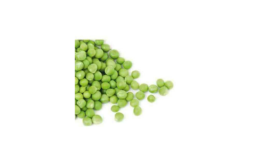 Plantel bio de guisante medio enrame 6 unid.