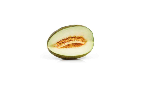 Plantel bio de melón piel de sapo en maceta de 11cm