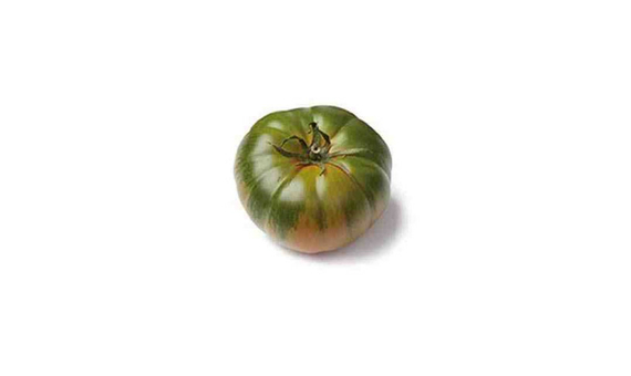 Plantel bio de tomate marmande raf 6 unid.