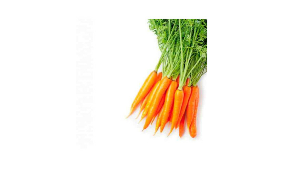 Plantel bio de zanahoria 6 unid._1