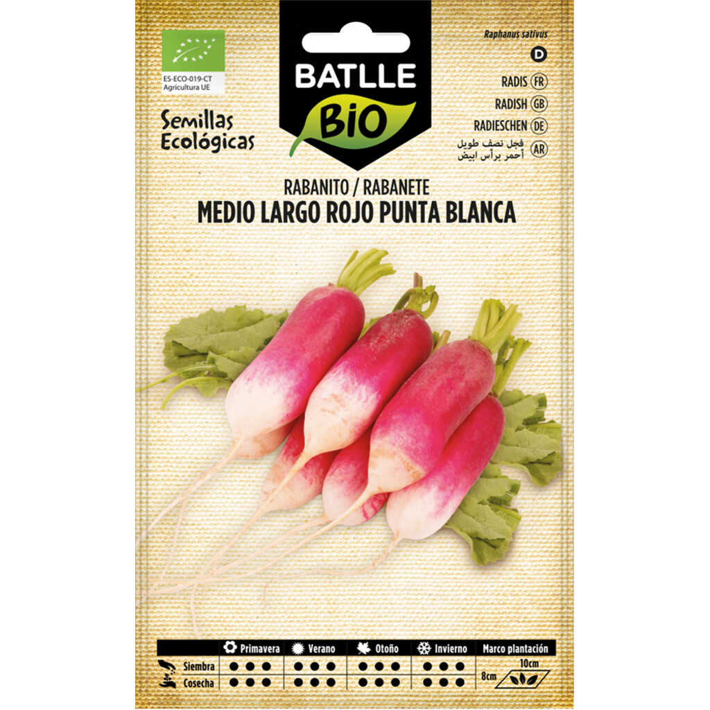 Semillas ecológicas de rabanito largo rojo punta blanca