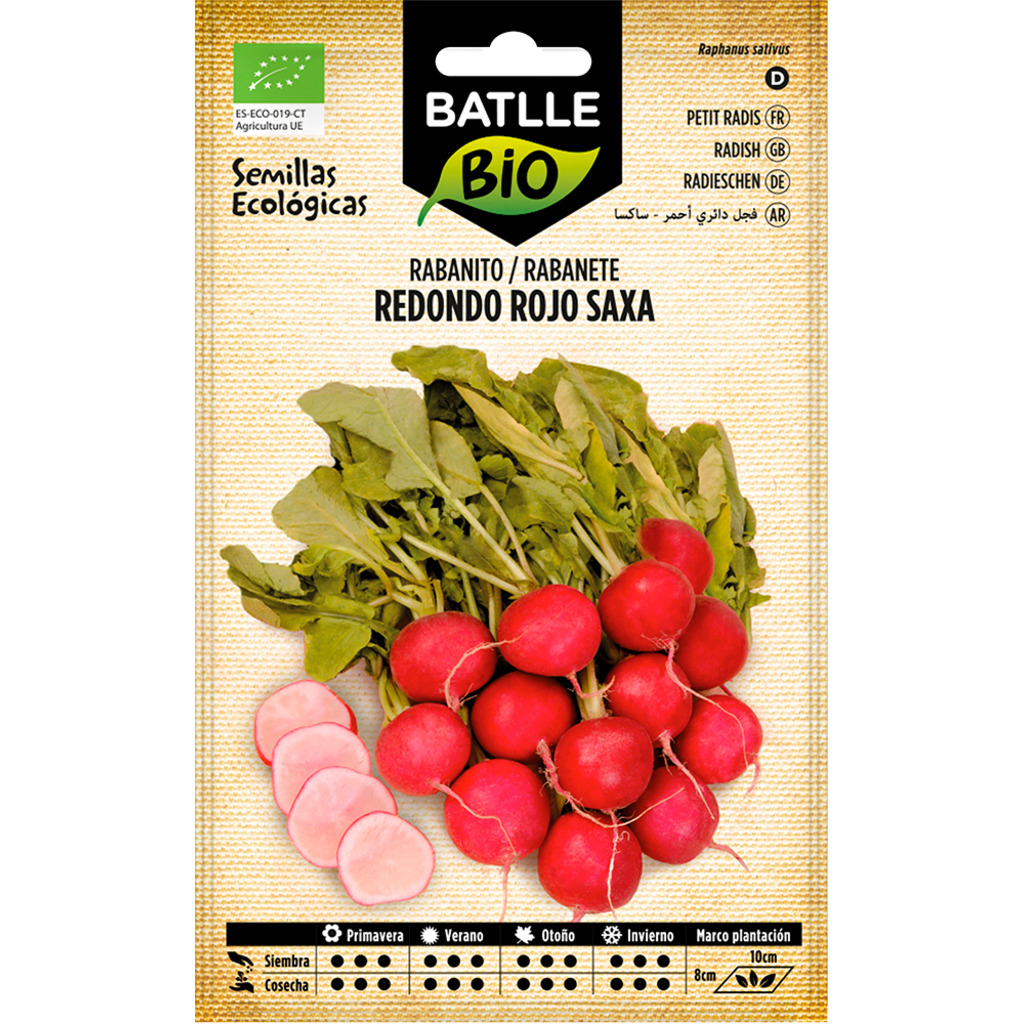 Semillas ecológicas de Rabanito Redondo Saxa 2