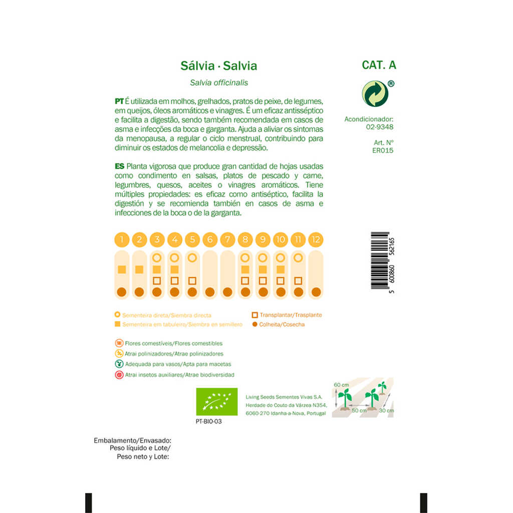 Semillas ecológicas de Salvia 3