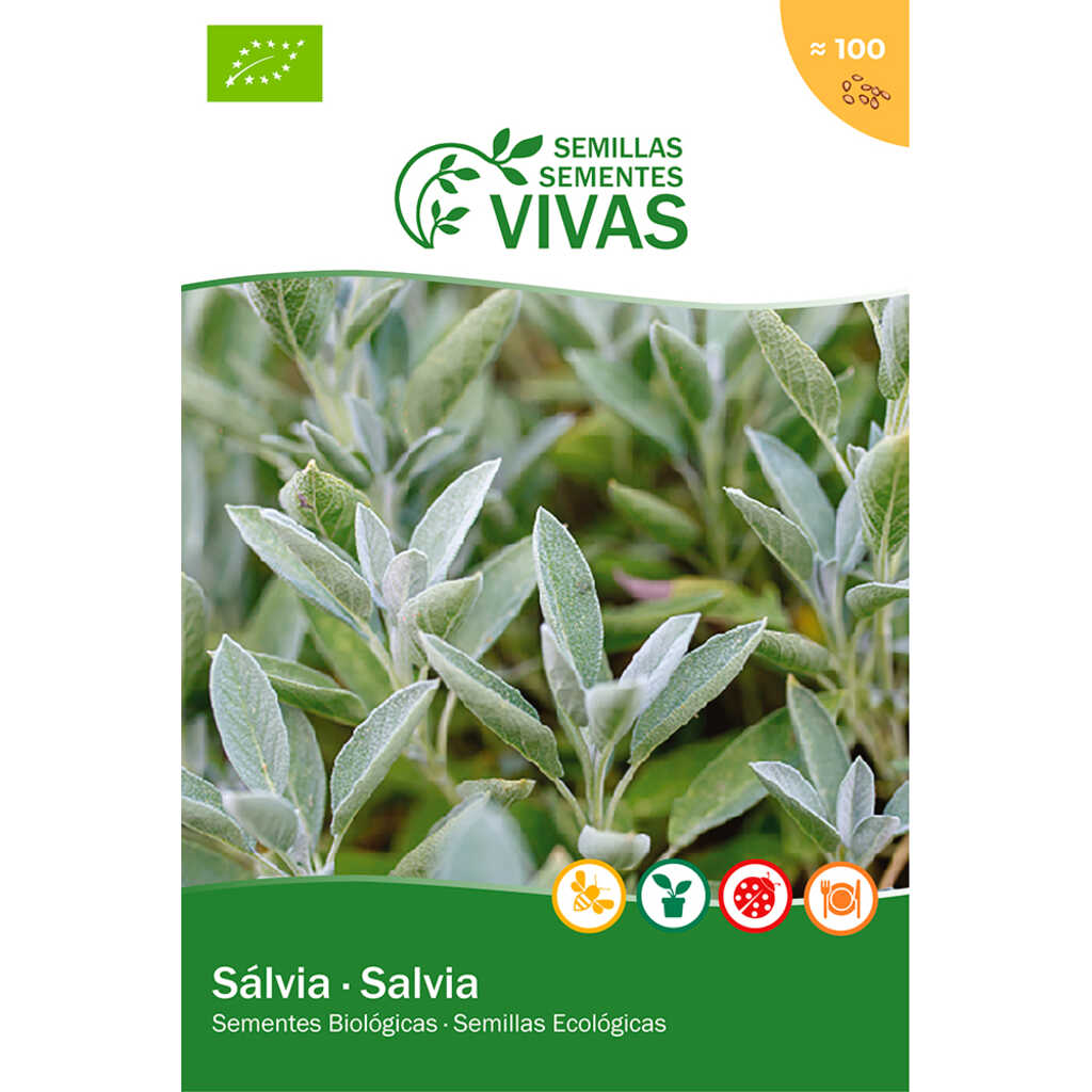 Semillas ecológicas de Salvia