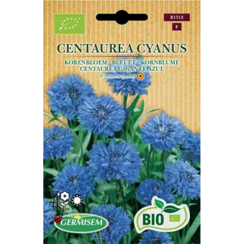 Semillas ecológicas de aciano (Centaurea cyanus)