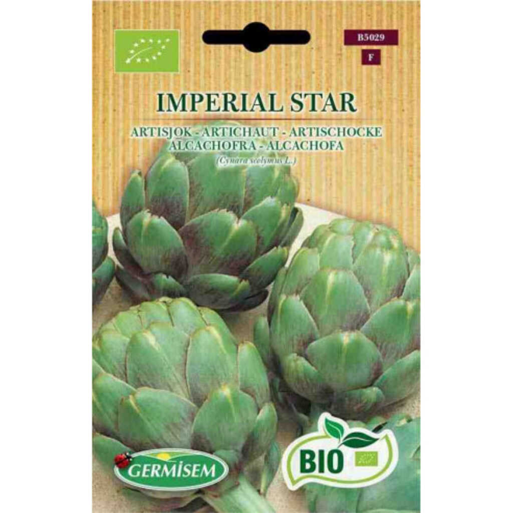 Semillas ecológicas de alcachofa imperial star