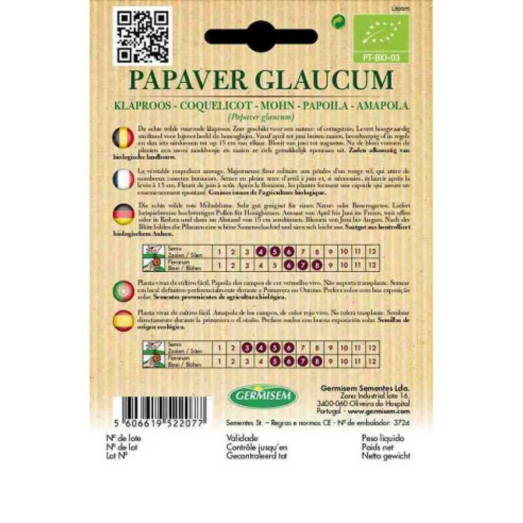 Semillas ecológicas de amapola (Papaver glaucum)_1